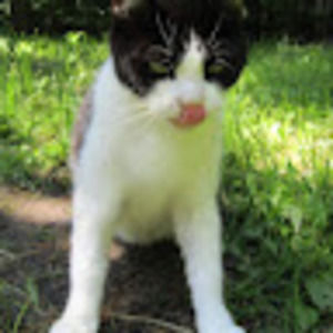 Meet your Posher, Jamie